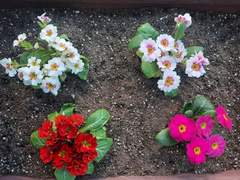 어머님은 차가 공짜로 굴러가는 줄 아시나 봐?