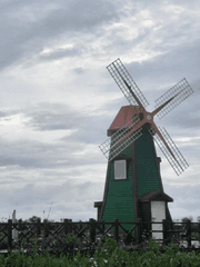 쇼윈도 부모의 육아법