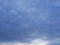 당장 오지 못해!!! 태풍 비상근무야