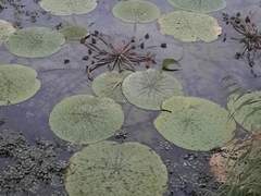 요즘, 여자가, 그 정도 월급, 공무원은 적은 거 아니야