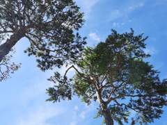 공무원을 만만하게 보네?