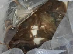 설마, 그럴 리가? 남편이 나를 사랑하나 혹시?