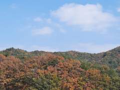 엄마는 불 지르고 공무원 딸은 불 끄러 가고?