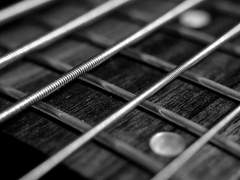 Self-made Wonderland