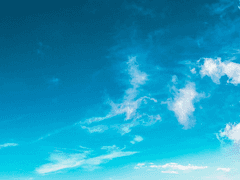 우리들의 푸른 봄은 어디까지 이어지는걸까?