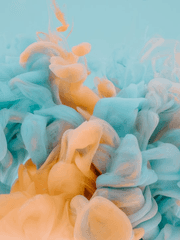 상플 (이전 짤 모음)