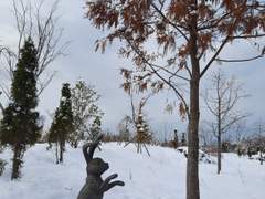 공무원이면 무조건, 무조건 공개야?