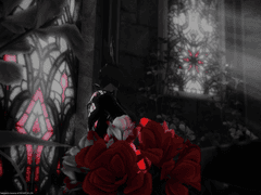 믿음과 애정으로부터