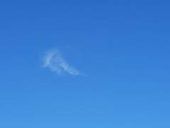 인사이동하면 , 일단, 찍고 봐야 해