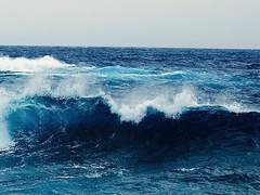 해 너울, 19세, XX