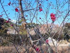 호들갑스러운 출장길