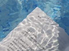 여객선에 얽힌 어제