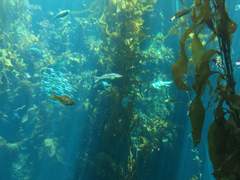 바다의 반짝임은 심해에 감춰져 있다.