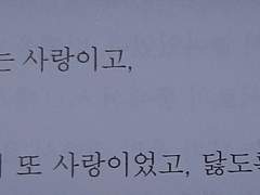 너무나 시리고 추운 겨울이었다