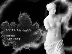 [호열백호][:My MUSE.] - intro.