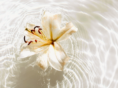 기억을 말하다 _中