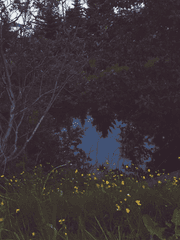 친애하는 작가님께