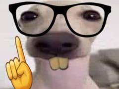 엔시티 나페스 추천