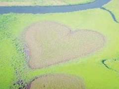 보이냐? 내 마음