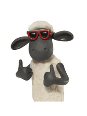 도시대 비하인드 스토리