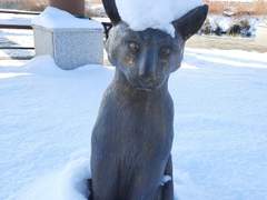 저기요, 기관장님?그때는 입도 뻥끗 못했지만요...