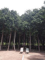 결혼 이까짓 거