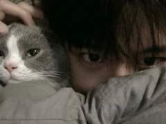 엔시티 나페스 추천7