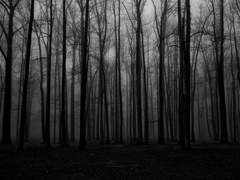 SCP-3560 : 모든 로봇은 연옥에 간다