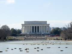 [ADHD] 천재냐 바보냐(99%타고나는 ADHD와 지능에 대하여)