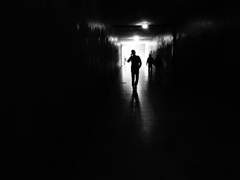 [에레즈 "베헤모스" 에타/46세/연방수사국 수사관]