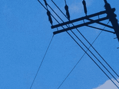 로임 오로바스의 인생 5화