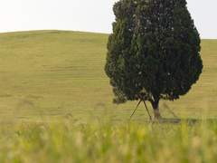 [사주명리] 목이 없어 슬픈 계사일주