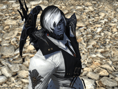 인게임 스샷 백업