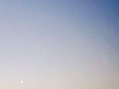 외로움이 위로가 되는 날