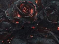 마지막 페이지.