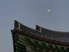 눈물로 쓰는 시