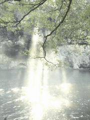 물에 비친 너의 모습이 너무 아름다워서