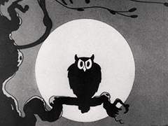 ˚₊‧꒰ა 🦇🎃🕷 ໒꒱ ‧₊˚