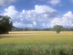 나페스 추천 ( 연예계물 )