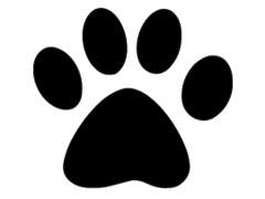 전지적 고양이 시점 #리얼리티편