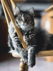 모르는 로판에 빙의했다