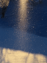 No.15 : 빛 능력자 신예지