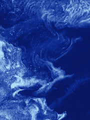 수갑-총-지팡이 연합 :: 댄 킹 그린