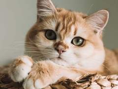 무빙 김봉석 : 귀여운 분위기 가지는 법