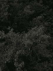 시골 마을 반짝