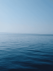 원피스 여러? 장편 드림