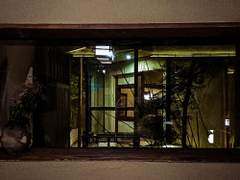 [당보청명] 겨울의 끝에서 필 매화를 기다리오 一