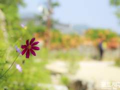 [생윤] 자연과 윤리