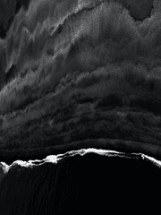 이상향 탈출 매뉴얼 - 민간인용