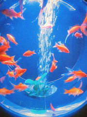 김애용 단편연습